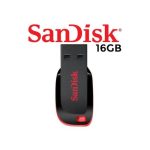 Sandisk 16GB Flash Drives (Cruzer Blade)
