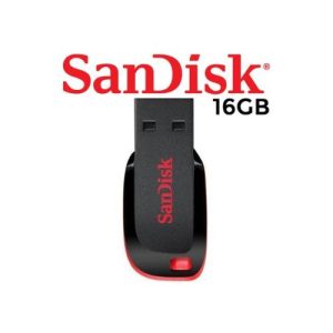 Sandisk 16GB Flash Drives (Cruzer Blade)
