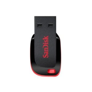 Sandisk 32GB Flash Drives (Cruzer Blade)