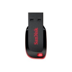 Sandisk 8GB Flash Drives (Cruzer Blade)